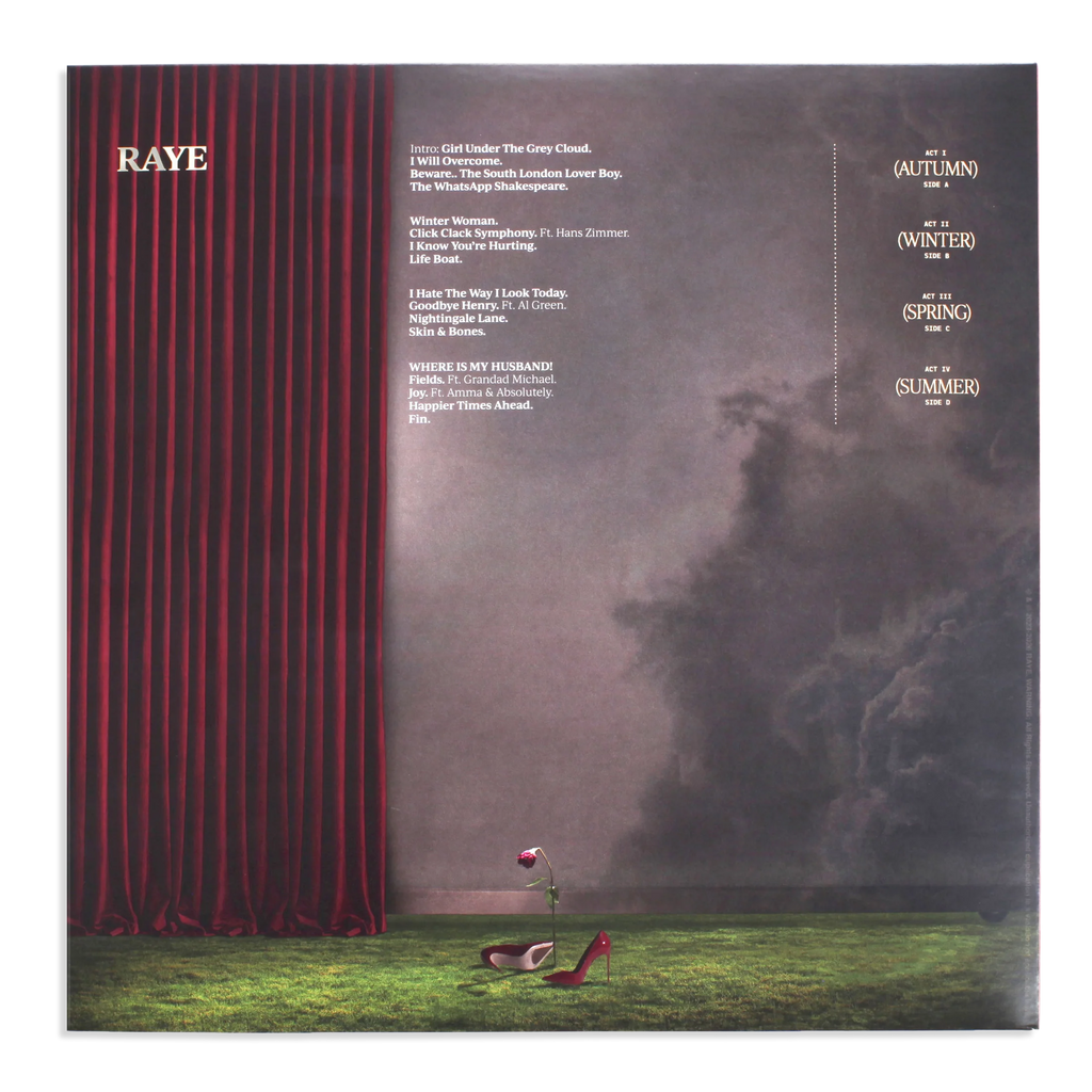 Disco de vinilo RAYE – THIS MUSIC MAY CONTAIN HOPE en portada con arte colorido, de la marca Oh My Cd!