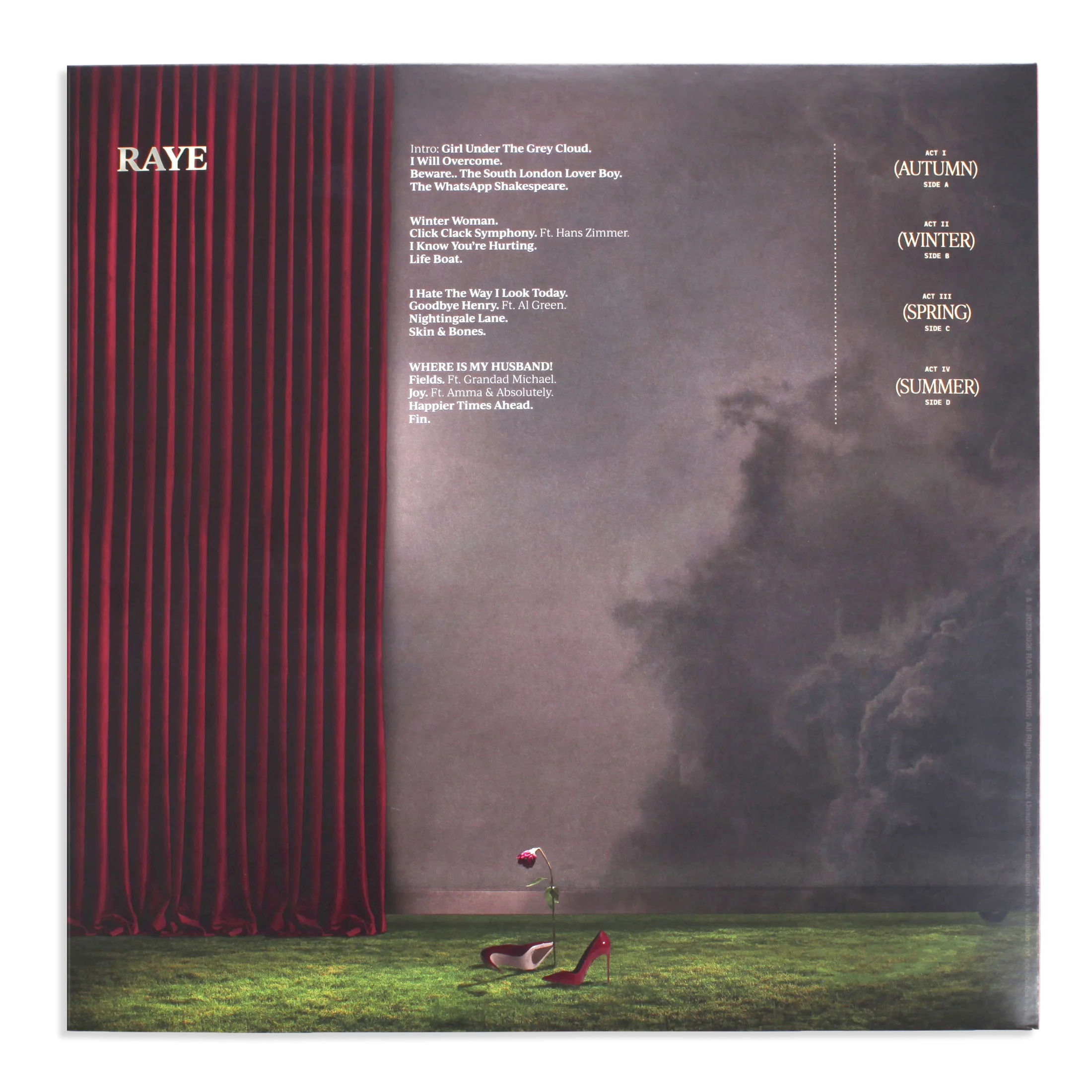 Disco de vinilo RAYE – THIS MUSIC MAY CONTAIN HOPE en portada con arte colorido, de la marca Oh My Cd!
