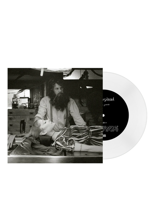 Portada de la portada del vinilo de 7 pulgadas de Ariana Grande – Hampstead / Past Life, con arte de la portada.
