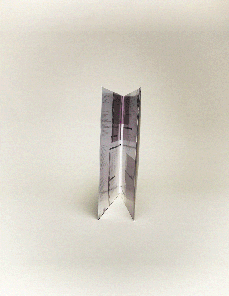 Imagen del álbum Ariana Grande – My Everything en vinilo transparente y lavanda, con portada y disco visibles.