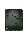 Ariana Grande – petal Blanket - Oh My Cd!