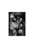 Ariana Grande – petal Buttons (Set) - Oh My Cd!